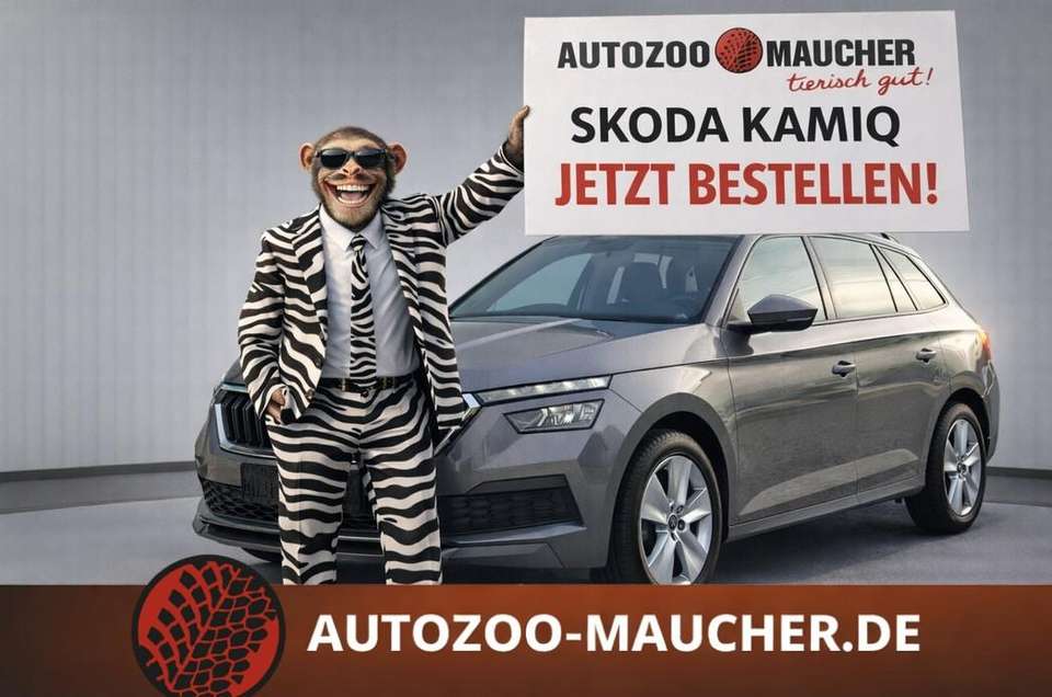 Skoda Kamiq - Imagem 1