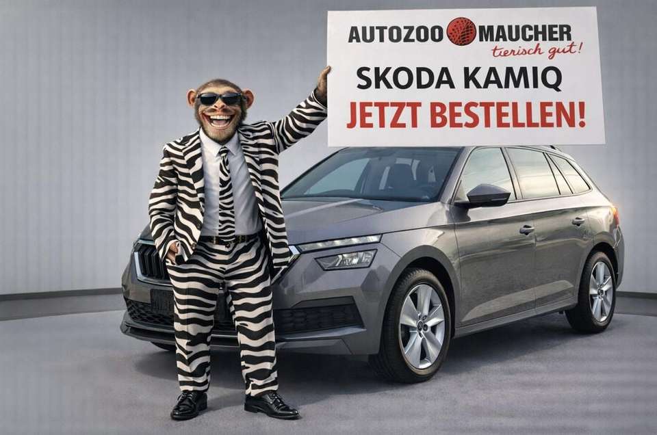 Skoda Kamiq - Imagem 2