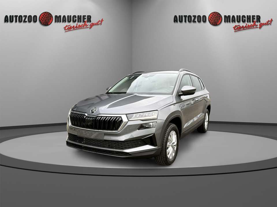 Skoda Karoq - Imagem 2