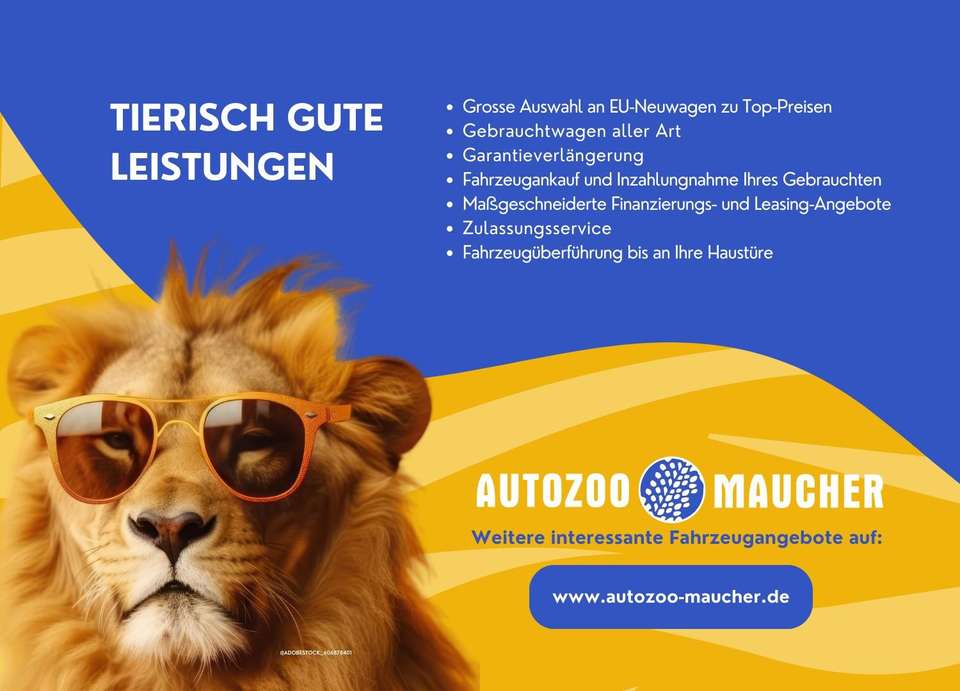 Skoda Kamiq - Imagem 4