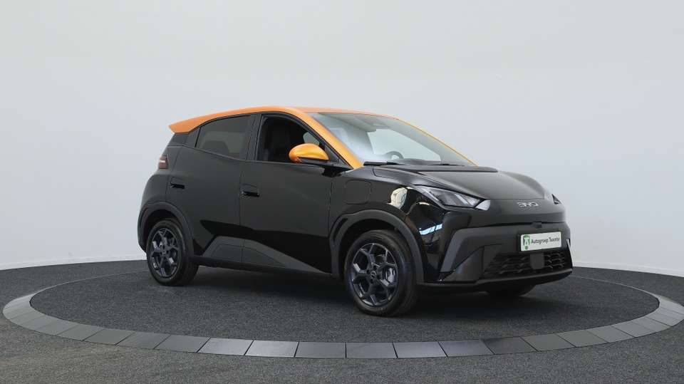 BYD Dolphin Surf - Imagem 8