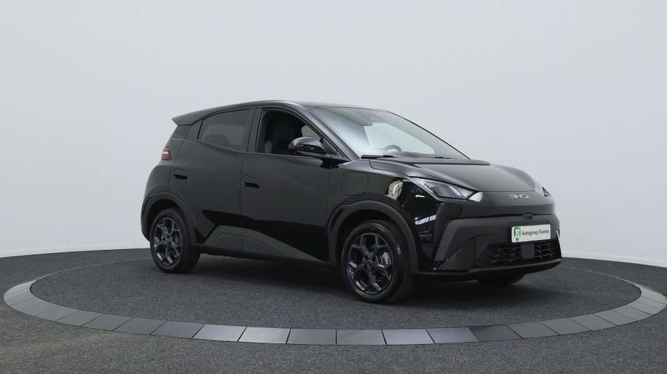 BYD Dolphin Surf - Imagem 12