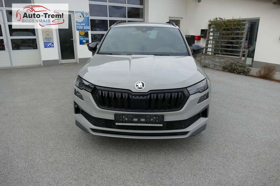 Skoda Karoq - Imagem 2