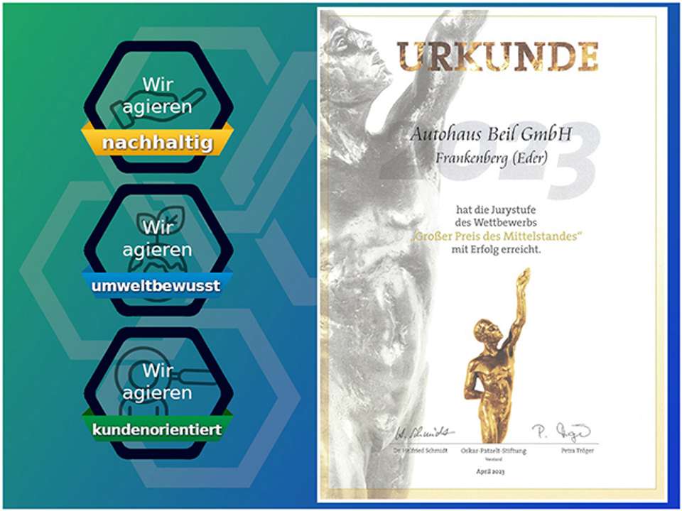 Renault Scenic - Imagem 6