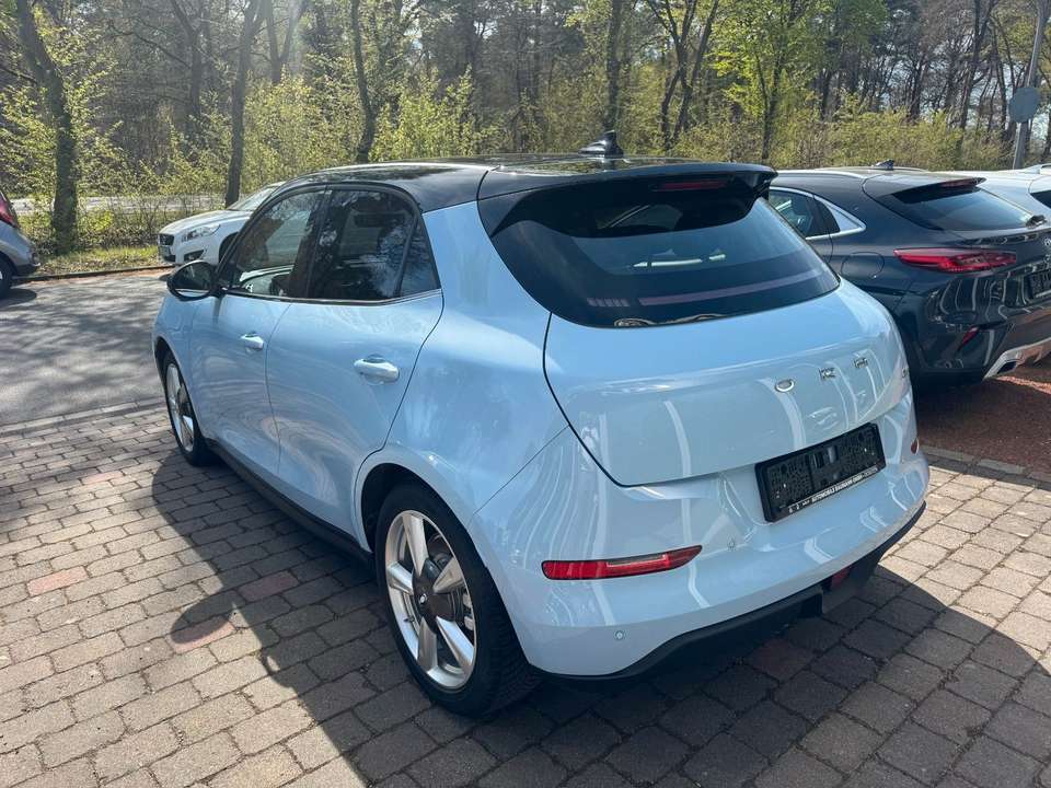 Ora Funky Cat - Imagem 5