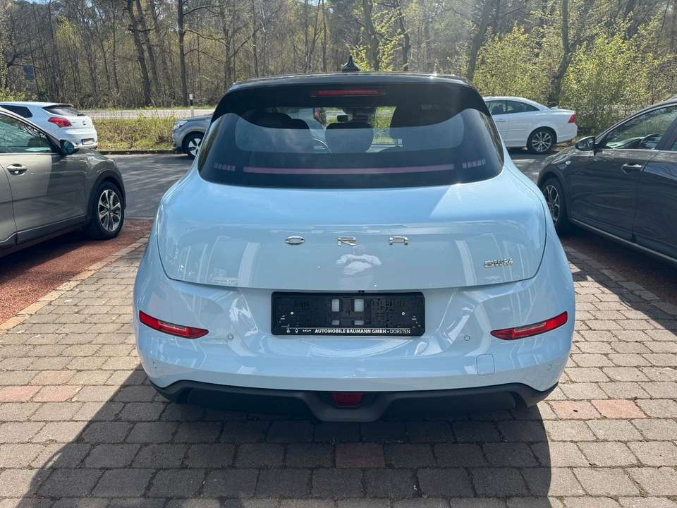 Ora Funky Cat - Imagem 6