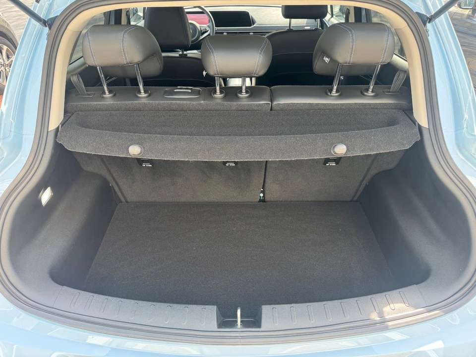 Ora Funky Cat - Imagem 7