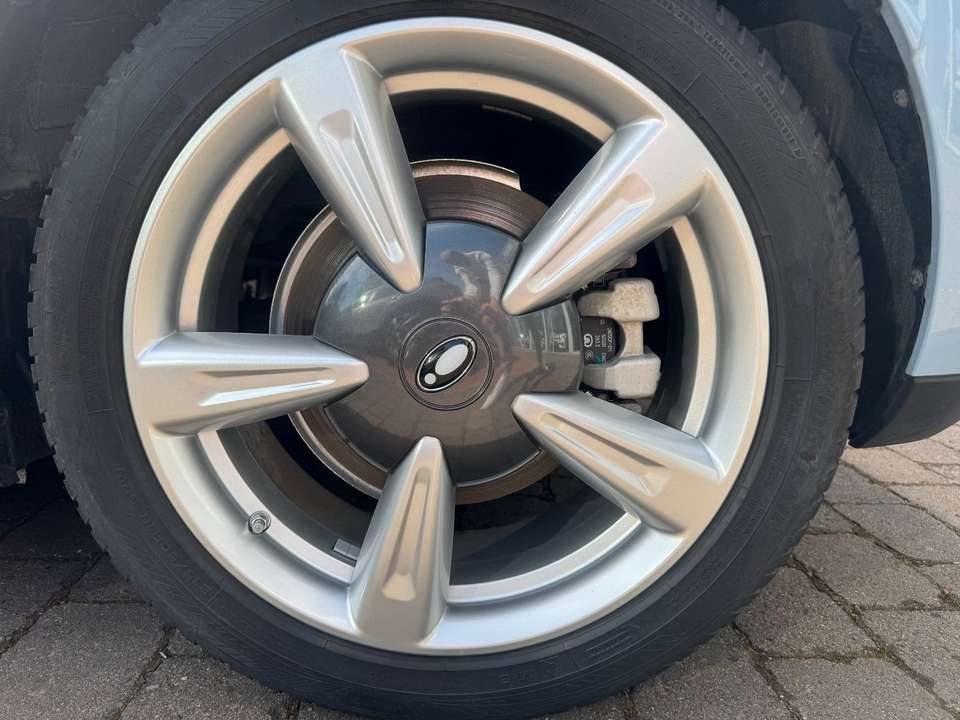 Ora Funky Cat - Imagem 8