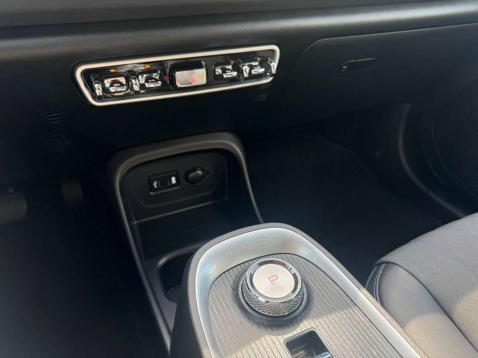 Ora Funky Cat - Imagem 11