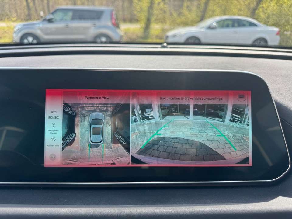 Ora Funky Cat - Imagem 12