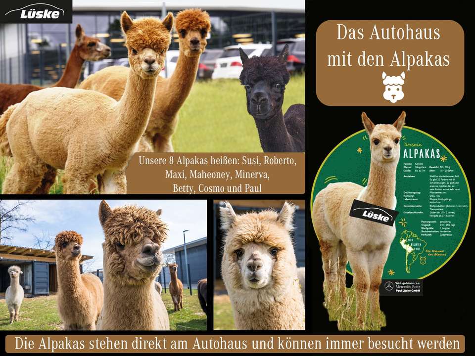 Mercedes-Benz EQE 350 - Imagem 13