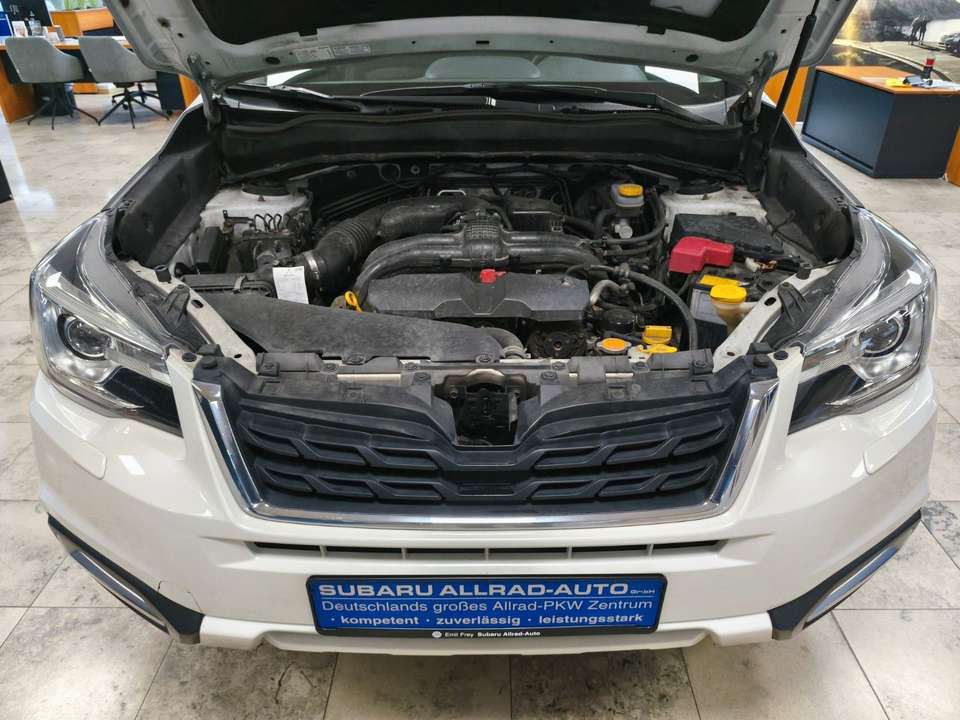 Subaru Forester - Imagem 15