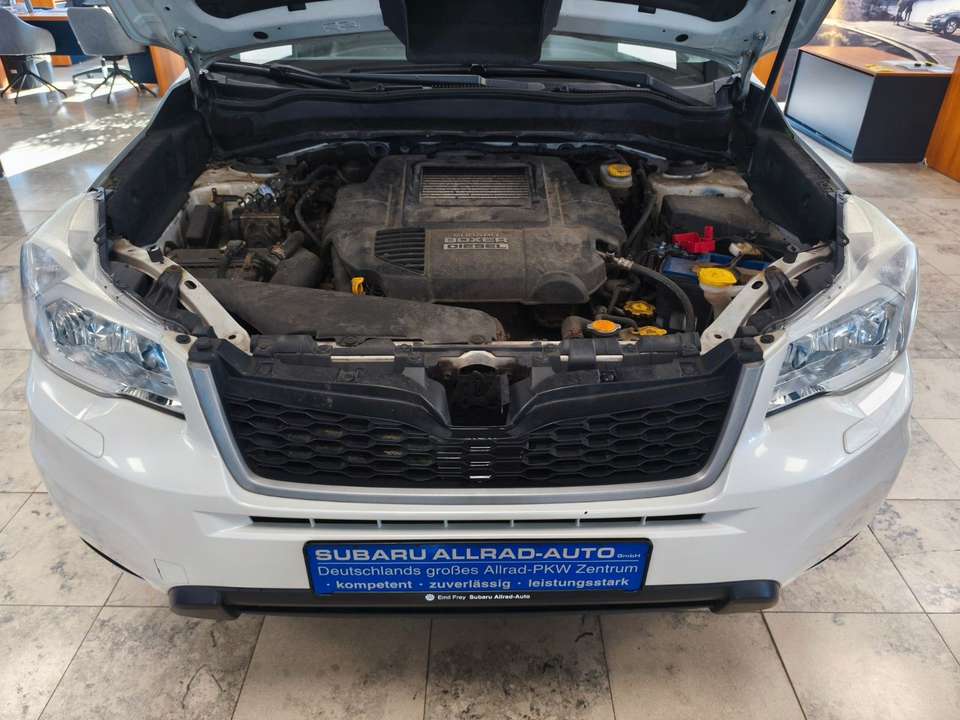 Subaru Forester - Imagem 15