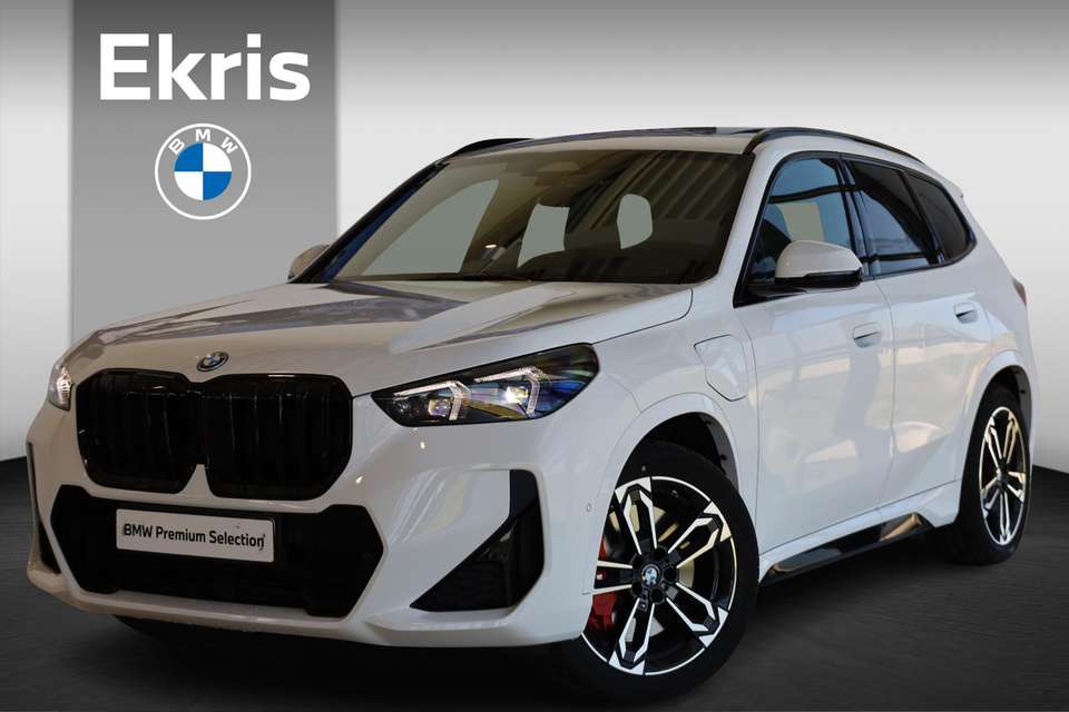 BMW X1 - Imagem 1
