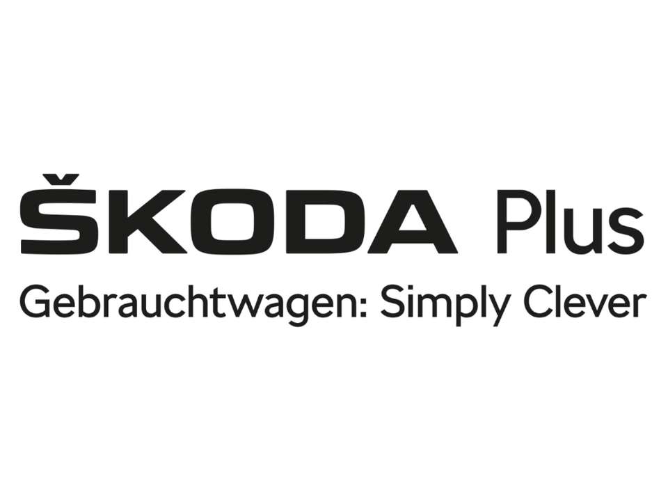 Skoda Karoq - Imagem 4