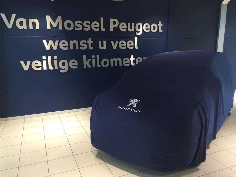Peugeot e-2008 - Imagem 6