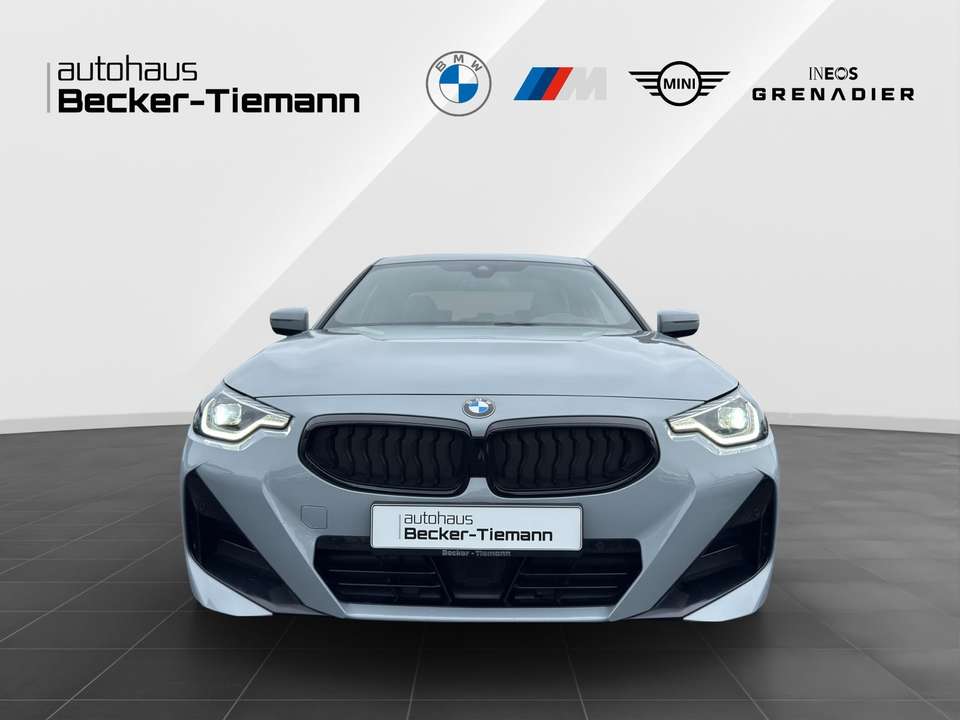 BMW 220 - Imagem 2