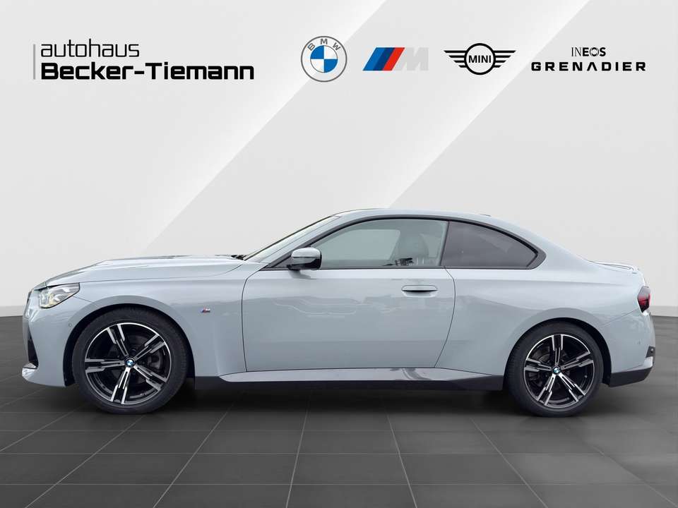 BMW 220 - Imagem 3