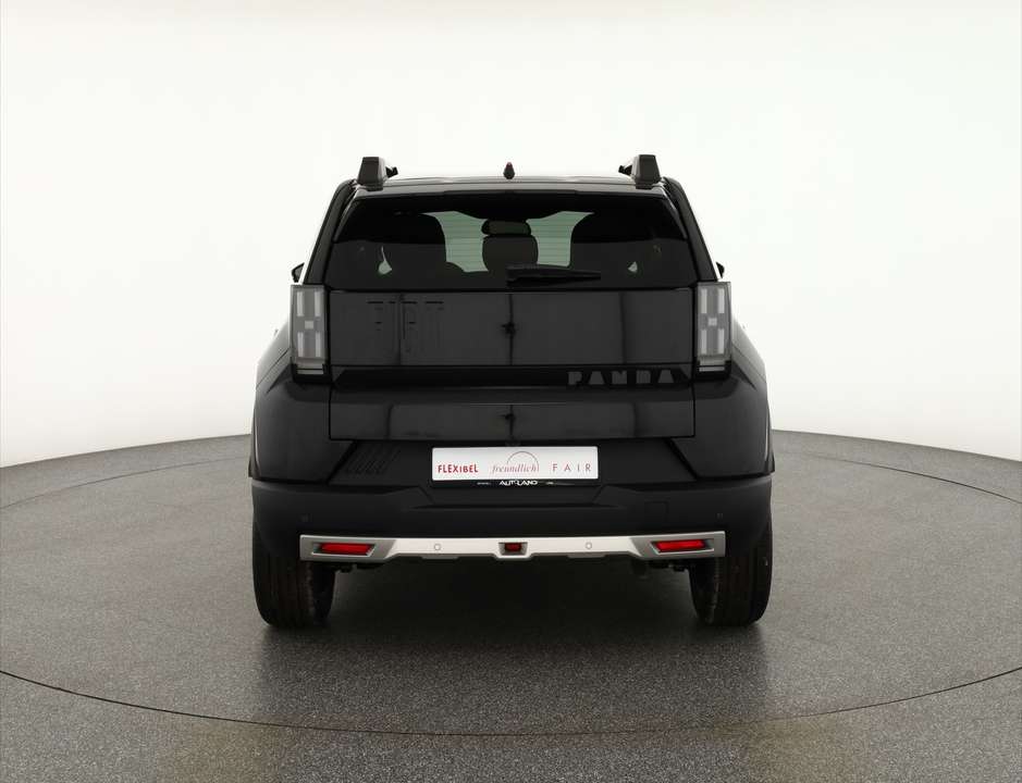 Car picture 4