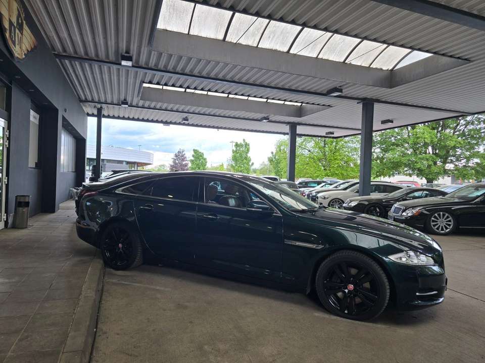 Car picture 10