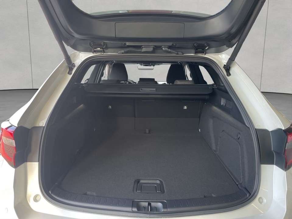 Car picture 4