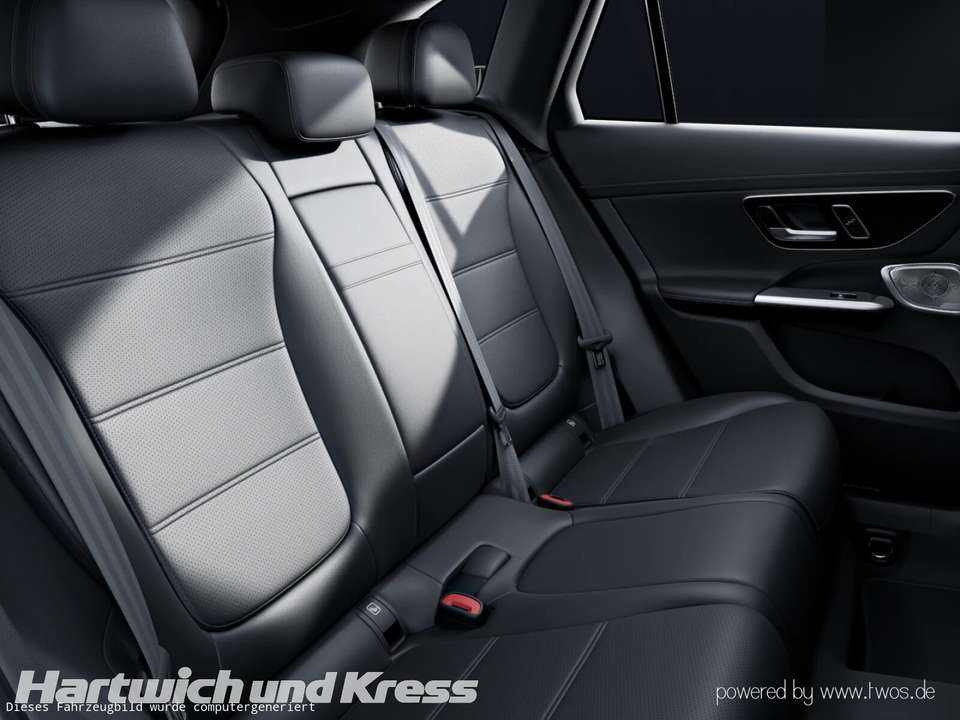 Car picture 10