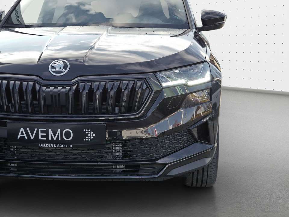 Skoda Karoq - Imagem 12