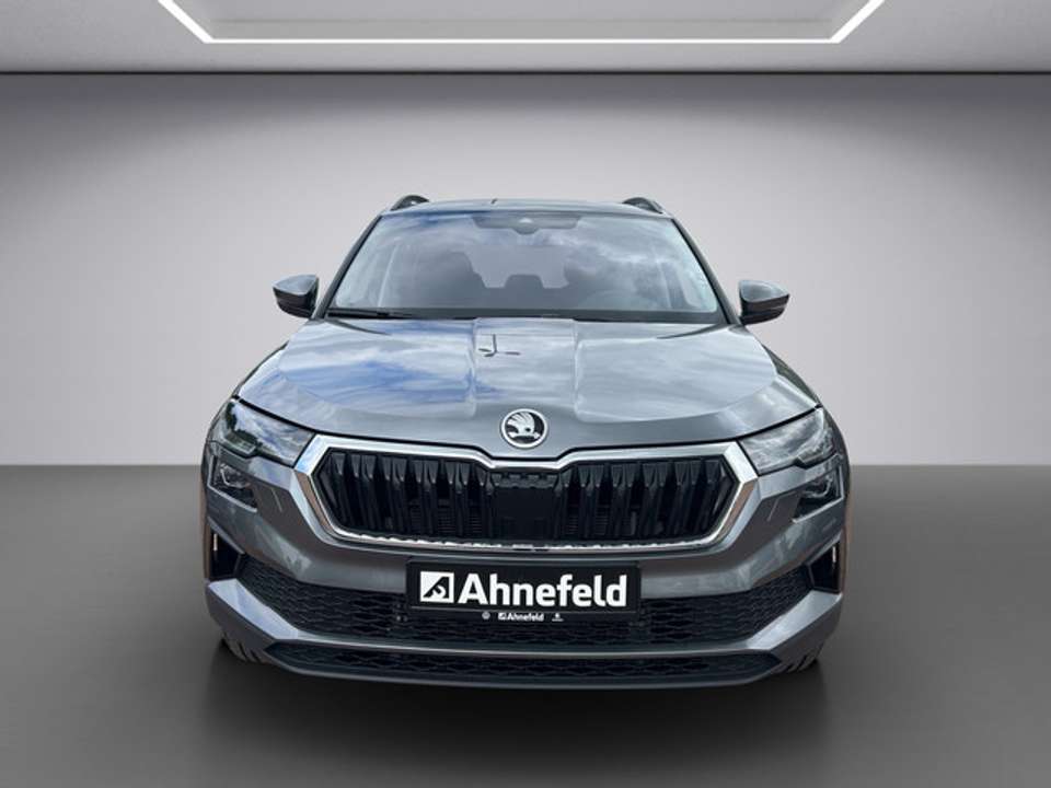 Skoda Karoq - Imagem 9