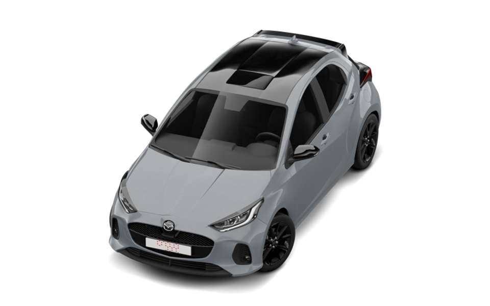 Car picture 10