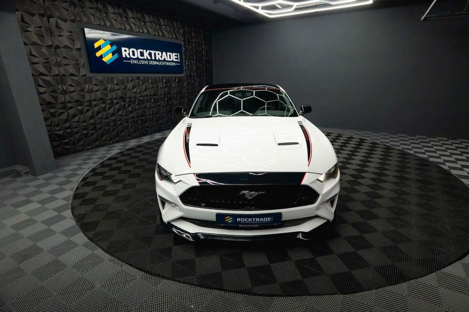 Car picture 4