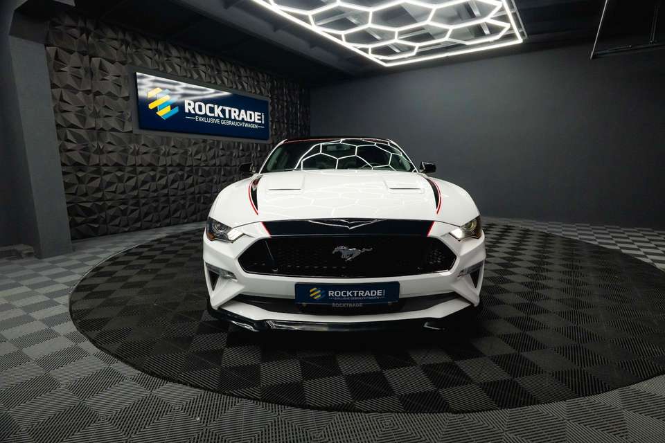 Car picture 5