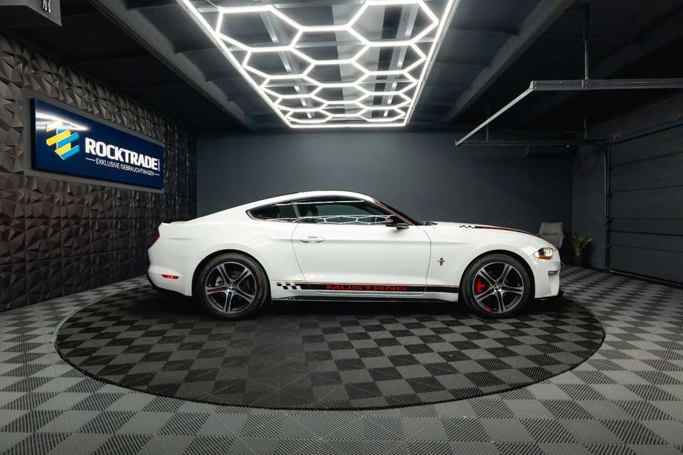 Car picture 8