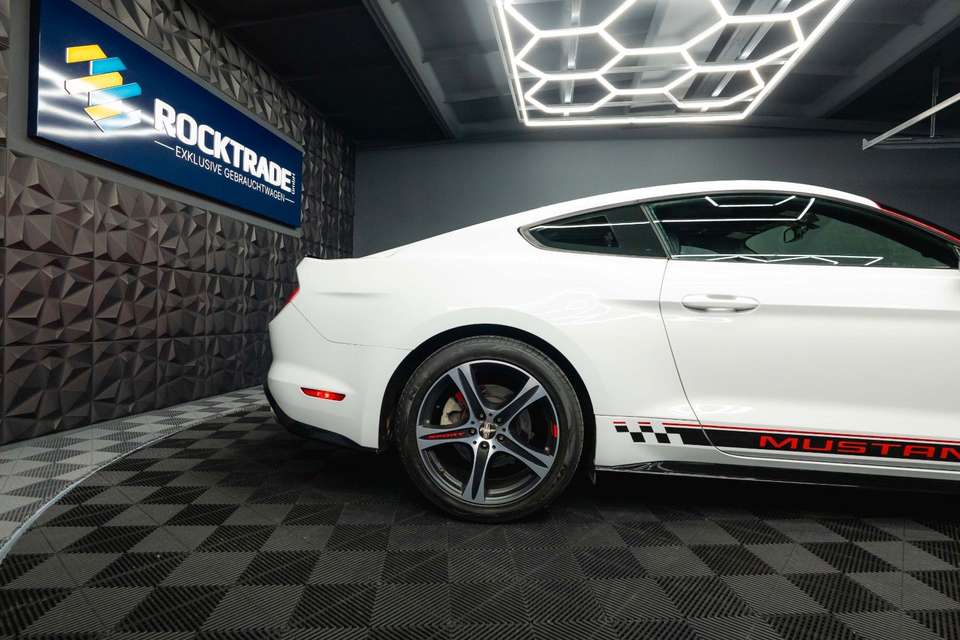 Car picture 9