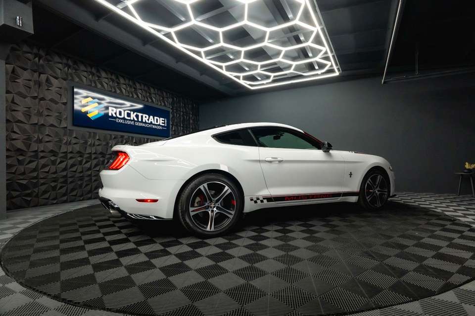 Car picture 12