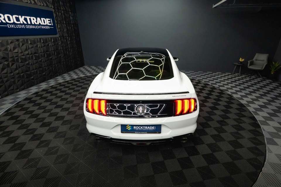 Car picture 14
