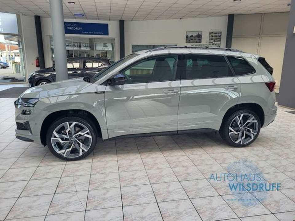 Skoda Karoq - Imagem 9