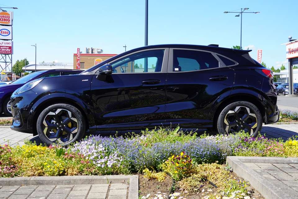 Car picture 4