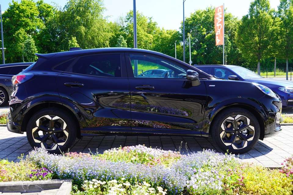 Car picture 8