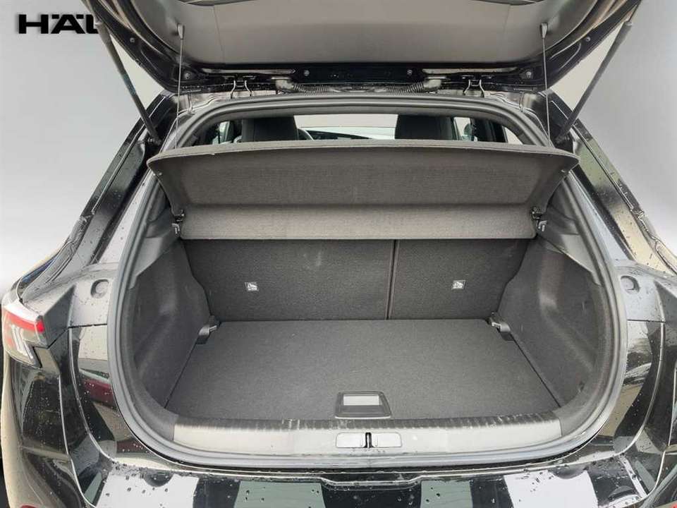 Car picture 10