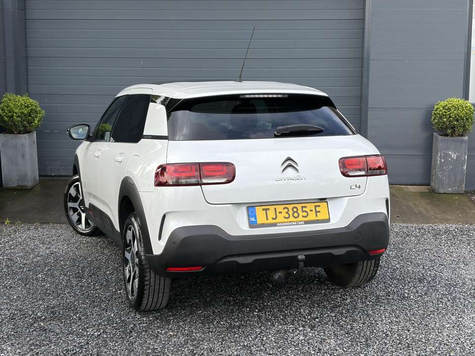 Citroen C4 Cactus - Imagem 4