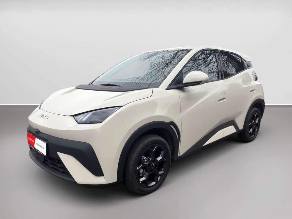BYD Dolphin Surf - Imagem 2