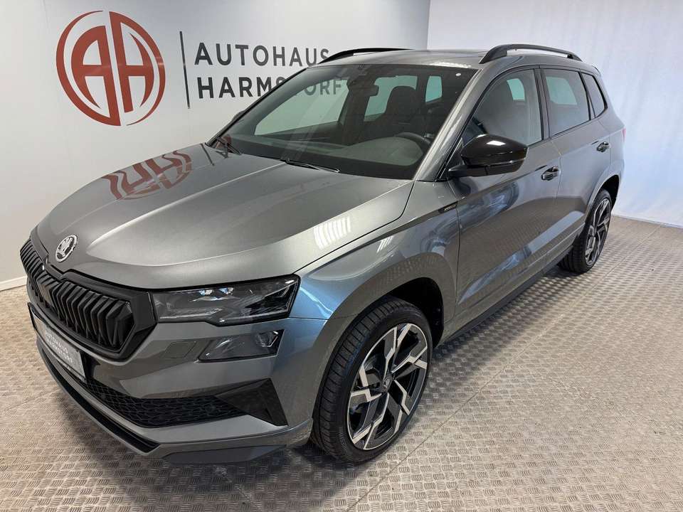 Skoda Karoq - Imagem 2
