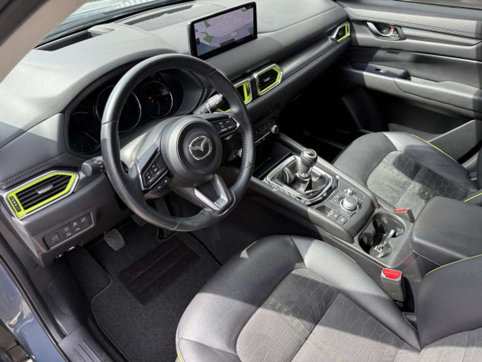 Car picture 18