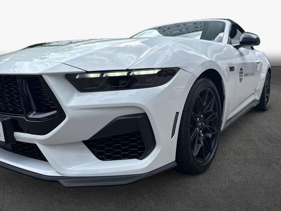 Car picture 6