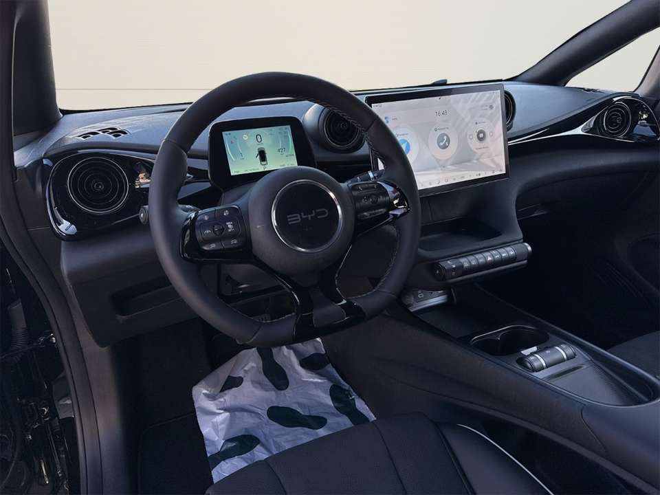 Car picture 10