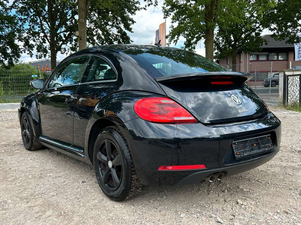 Volkswagen Beetle - Imagem 3