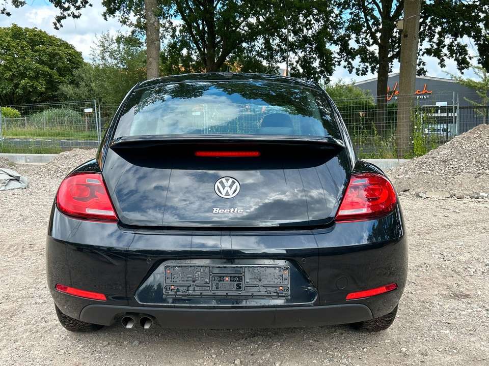 Volkswagen Beetle - Imagem 4