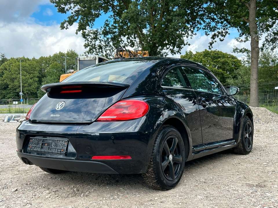 Volkswagen Beetle - Imagem 5