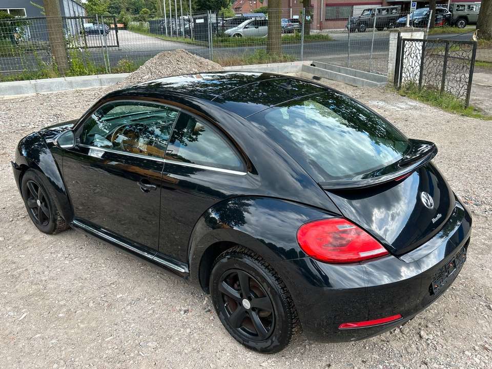 Volkswagen Beetle - Imagem 12