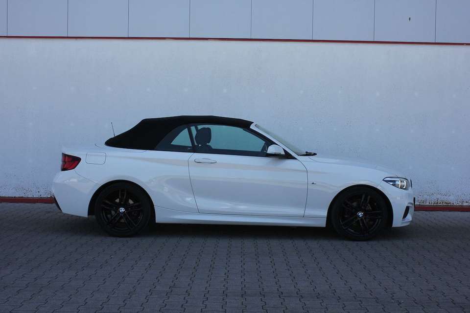 Car picture 4